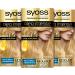Syoss oleo intense oil coloration 10-00 light blond level 3 (3 x 115 ml) permanent hair color with nourishing oil coloring without ammonia light blonde 10-0 stage 3
