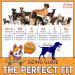 4LegsFriend Orange Reflective Dog Safety Vest | High Visibility Lightweight Vest for Outdoor Activities | 6 Sizes Available | Snap Lock Buckles | Adjustable Straps | Day and Night Visibility | Size L | Orange - Buy Online on GoSupps.com