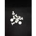 Reef-Geeks coral frag plug small head mushroom sps lps marine coral.(x 25) - Buy Online on GoSupps.com