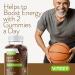Iron Gummies 20mg + Vitamin C 26mg for Iron Deficiency and Anemia - Energy Support, Blood Cell Formulation - Vegan Chewable Grape Gummy Chews 60 ct (Pack of 2) - Buy Online on GoSupps.com