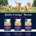 Eukanuba Lamb & Rice Dry Dog Food for Large Senior Breeds - 2.5 kg Pack | Premium Nutrition - Buy Online on GoSupps.com