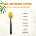 Jungle Powders Apricot Powder 3.5oz - Freeze Dried, Sugar-Free, GMO-Free Apricot Extract for Baking - 3.5 Ounce Pack - Buy Online on GoSupps.com