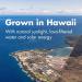 BioAstin Hawaiian Astaxanthin 4mg 120ct Antioxidant Grown in Hawai'i 120 count (Pack of 1) - Buy Online on GoSupps.com