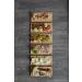 â€œNairn's Gluten Free Flatbread Crackers - Rosemary & Sea Salt, 5.29oz | Healthy Snackâ€‌ - Buy Online on GoSupps.com