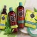 HASK Hemp Oil 5-in-1 Leave In Conditioner Spray - Color Safe, Gluten-Free, Sulfate-Free, Paraben-Free - 2 Piece Set - Buy Online on GoSupps.com