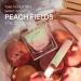 Skylar Peach Fields Eau de Parfum - Hypoallergenic & Clean Perfume for Women & Men Vegan & Safe for Sensitive Skin - Sweet Perfume with Notes of Mandarin Grapefruit Peach - 10mL /0.33 Fl oz - Buy Online on GoSupps.com