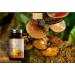 HN Reishi Capsules | High Potency 2100mg Reishi Mushrooms Extract (15:1) per Dose - 120 Reishi Capsules | Non-GMO Gluten Free & Allergen Free | Made in the UK - Buy Online on GoSupps.com