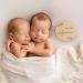 Prinzental 30 Baby Milestone Cards for Twins | Elegant Wooden Discs | Unique Gift for Twin Births - Buy Online on GoSupps.com