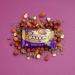 Bounce Hazelnut Praline Plant Protein Balls in Dark Chocolate Coating - 12 Vegan Protein Balls (12 x 40g) - Buy Online on GoSupps.com