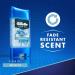 Gillette Clear Gel Arctic Ice 3.8OZ - Long-Lasting Deodorant for All-Day Freshness | International Shipping Available - Buy Online on GoSupps.com