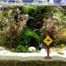 Funny Harz Hai-Warnschild Aquarium Decoration | Underwater Fish Tank Ornament | Unique C-yellow Decor for Aquatic Landscapes - Buy Online on GoSupps.com