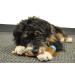 Downtown Pet Supply Bully Sticks for Dogs Free Range Dog Chews 6" 30 Pack Odor Free - Buy Online on GoSupps.com