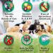 Arava Pet Drilling Towels - 100 Biodegradable Towels for Dogs Cats Puppies & Kittens | Natural Aroma-Medical Eye Cleaning & Dirt Removal - Buy Online on GoSupps.com