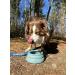 Buy Ohmo Foldable Water Bowl for Dogs - No Spill Travel Bowl (680ml Camouflage Green) - Portable & Mess-Free Feeding Accessories for Car Trips - Buy Online on GoSupps.com