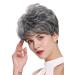 WIG ME UP DW-2700-DF1202 | Short Backcombed Voluminous Wavy Grey Mix Ladies Wig - Stylish Grey-Black Blend for All Occasions - Buy Online on GoSupps.com