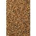 McCormick Gourmet Organic Coriander Seed - 0.87 oz - Buy Online on GoSupps.com