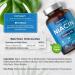 Vitamin B3 Niacin 500mg | 90 Vegan Capsules | Flush Free Nicotinamide Supplement | No Artificial Preservatives | by Horbaach - Buy Online on GoSupps.com
