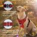 Funfox No Pull Dog Harness for Large Dogs - Adjustable Breathable Safety Harness in Red - XL Size - Buy Online on GoSupps.com