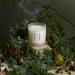 CNFN Christmas Tree Scented Candle - 7oz Coconut Wax Winter Candle for Home - Nordic Forest Fragrance - 40 Hrs Burn Time - Cozy Season Decor - Buy Online on GoSupps.com