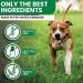 Tummy Relief for Dogs - Fast-Acting Diarrhea Treatment & Stomach Settler - Gut Health Supplement - Liquid Medicine for Upset Stomach - 250ml - Buy Online on GoSupps.com