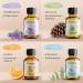 Woodfjord Sauna Infusion Set Bio Classic - 4 Organic Fragrances & Oils (100ml) for Authentic Sauna Experience | Premium Air Test Set - Buy Online on GoSupps.com