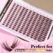 Buy TOOCHUNAG Brown Lash Clusters - 168pcs Wispy Individual Eyelash Extensions 8-16mm CC Curl for DIY Lash Looks - Buy Online on GoSupps.com