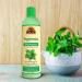 OKAY Peppermint Soothing & Invigorating Shampoo - 12oz / 355ml | Buy Internationally - Buy Online on GoSupps.com