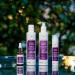Buy WNF Ethereal Plasma Theroprotectors - 50ml | International Shipping Available - Buy Online on GoSupps.com