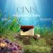 CINIS Fresh Breeze Soap from Sea Urchins and Sea Algae Fragrance - Handmade 100% Natural Soap for Daily Use with a Light Ozonic Aroma Reminiscent of a Sea Breeze - e100 g - Buy Online on GoSupps.com