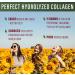 Perfect Hydrolyzed Collagen Powder 660g - Brazilian Pasture Raised - All Natural, Promotes Healthy Skin - 1.45lb - Buy Online on GoSupps.com