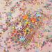 Framendino 100g Colorful Fruit Nail Art Slices for DIY Nail and Slime Making - Buy Online on GoSupps.com