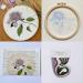 Silentsea 3 Sets of Embroidery Starter Kits for Beginners - Embroidery Cloth, Hoop, Needle & Manual Included - DIY Tools for Multicolor Embroidery - Buy Online on GoSupps.com