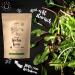 Senger's 2 kg Raw Styrian Pumpkin Seeds - Natural Vegan Untreated Nutty Flavor | 2 Pack for Healthy Snacking - Buy Online on GoSupps.com