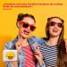 Buy Chupa Chups Fruit Lollipops - Refill Bags with 10 Lollies in Apple Strawberry Orange & Cherry Flavors - Ideal for International Shipping - Buy Online on GoSupps.com