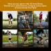 Z1 K2 Comfortline Hinged Knee Brace - Best Knee Support Brace for ACL MCL PCL Ligament Sports Injuries Arthritis (OA) Meniscus Tear Running Relief from Knee Joint Pain & Degeneration with Side Stabilizers for Men & Women S3(T 14 -15.5"/C 12-13.5") - Buy Online on GoSupps.com