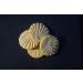 Aberffraw Biscuit Co Ltd - Ginger Aberffraw Biscuits 205g ABCR06 - Buy Online on GoSupps.com