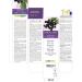 Black Elder Flowers and Fruits Alcohol-Free Mother Tincture 200ml by Naturalma - Vegan Liquid Extract Drops - Food Supplement - Buy Online on GoSupps.com