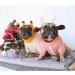 iChoue French Bulldog Frenchie Hoodie for Small Dogs - Pink Sweater Clothing for Pug, Boston Terrier, Bully, Pitbull, Corgi - Puppy Apparel - Buy Online on GoSupps.com