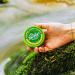 Murphy's Naturals Mosquito Repellent Balm - Plant Based, DEET Free, 2oz Travel Size - Buy Online on GoSupps.com