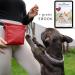 Ostfriesenpfoten Frieda Dog Treats Bag - High-Quality Synthetic Leather Red Size M Easy Open Lock - Ideal for Dog Walks & Outdoor Use - Buy Online on GoSupps.com