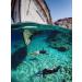 GoPro Cameras Floaty - Official Accessory for HERO11 Black, HERO10 Black, HERO9 Black - Buy Online on GoSupps.com