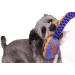 Nerf Dog Durable Toy 30 Tug Squeaking Football - Blue/Orange | Lightweight, Non-Toxic, BPA-Free - Buy Online on GoSupps.com