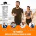 Purality Health Vitamin C Liquid: 1000mg Micelle Liposomal Formula, Non-GMO, Gluten-Free, Vegan - 15 Day Supply - Buy Online on GoSupps.com