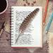 Outuxed 15pcs Natural Turkey Feathers for Crafts - 10-12 Inches - DIY Home Wedding Party Decoration - Buy Online on GoSupps.com