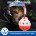 Pet Magasin Collapsible Cat Tunnel Toys (2 Pack) for Small to Large Pets - Interactive Tubes with Balls and Crinkle Peep Hole - Buy Online on GoSupps.com