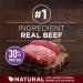 Purina ONE True Instinct High Protein Dry Dog Food Beef & Bison - 12.4 kg Bag 12.4 kg (Pack of 1) - Buy Online on GoSupps.com