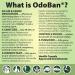 OdoBan Fresh Linen Disinfectant and Odor Eliminator Fabric & Air Freshener Pet Odour Remover Multi-Purpose Cleaner Concentrate 1 Gal. (3.79L) - Buy Online on GoSupps.com