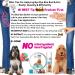 English Cocker Spaniel Boo Boo Butter 0.50-Ounce - Buy Online on GoSupps.com