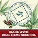Old Spice Alpine Antiperspirant Deodorant with Hemp Seed Oil 2.6 oz (Pack of 3) - Long-lasting Odor Protection - Buy Online on GoSupps.com