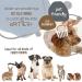 Kritter Katcher Flea & Tick Grooming Comb: Effective Pet Care Tool - Buy Online on GoSupps.com